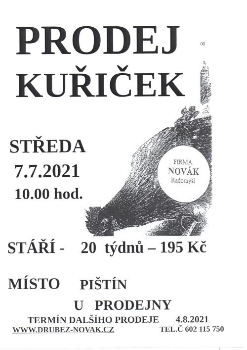 obrázek prodej kuřiček