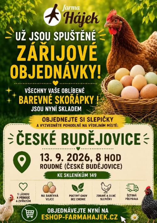 leták prodej slepiček